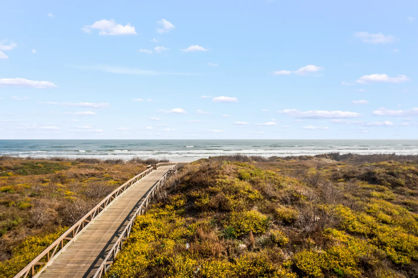 Cinnamon Shore X — photograph 49